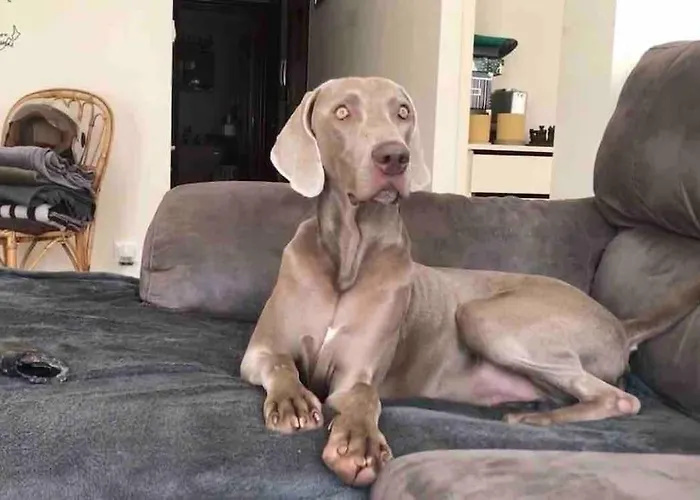 Quarto em Acomodações Particulares Habitación En Mi Casa - Centro De