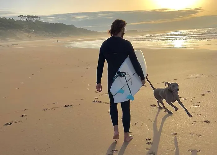 Habitación En Mi Casa - Centro De * Santander