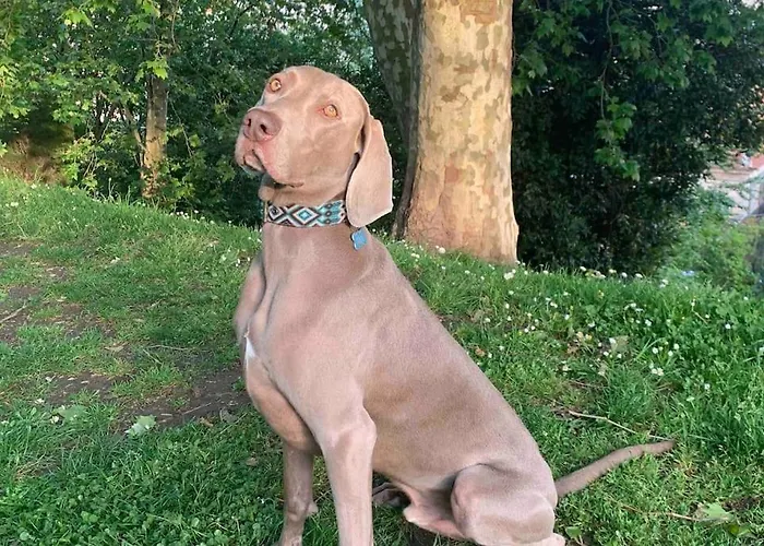 Homestay En Mi Casa - Centro De Santander