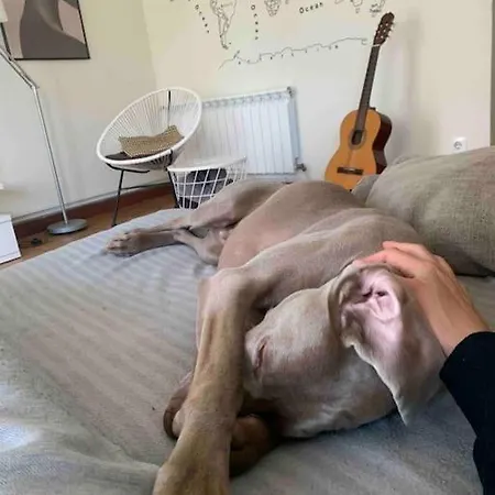 En Mi Casa - Centro De *