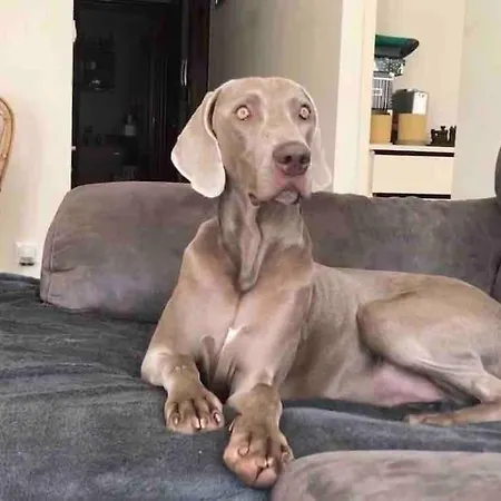 Privat bolig En Mi Casa - Centro De