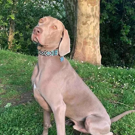 Privat bolig En Mi Casa - Centro De Santander