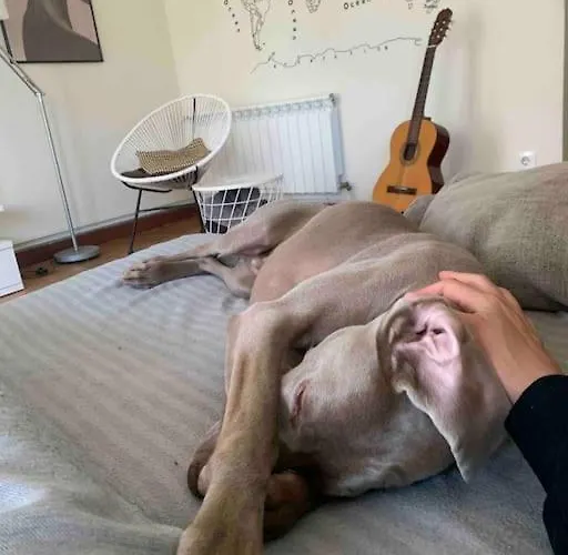 En Mi Casa - Centro De *